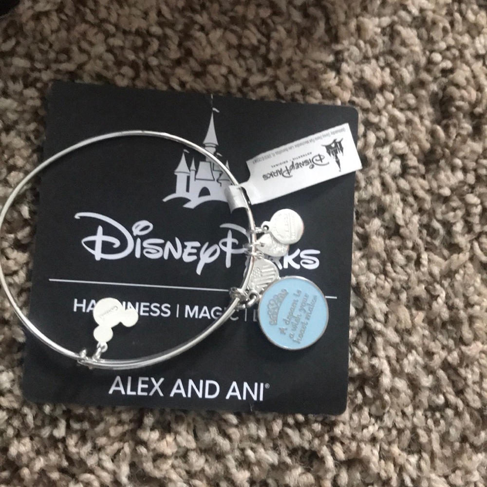 Alex and ani disney
